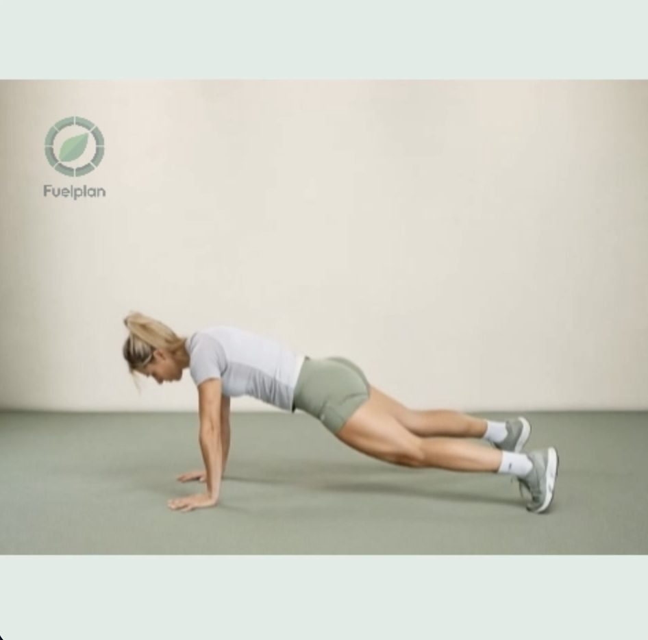 Bear Plank Hops demonstration