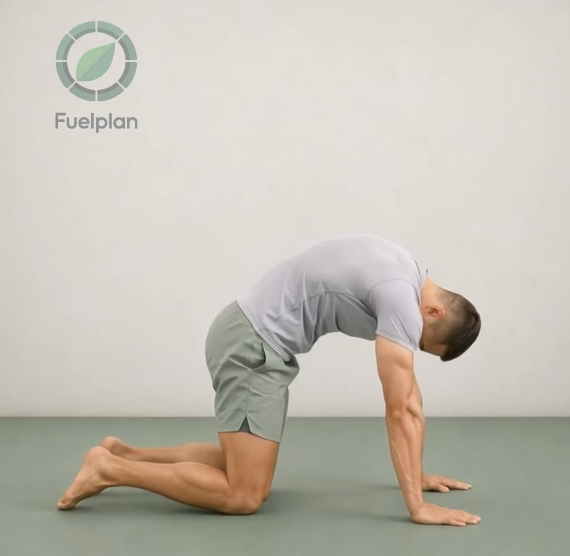 Cat-Cow Stretch demonstration